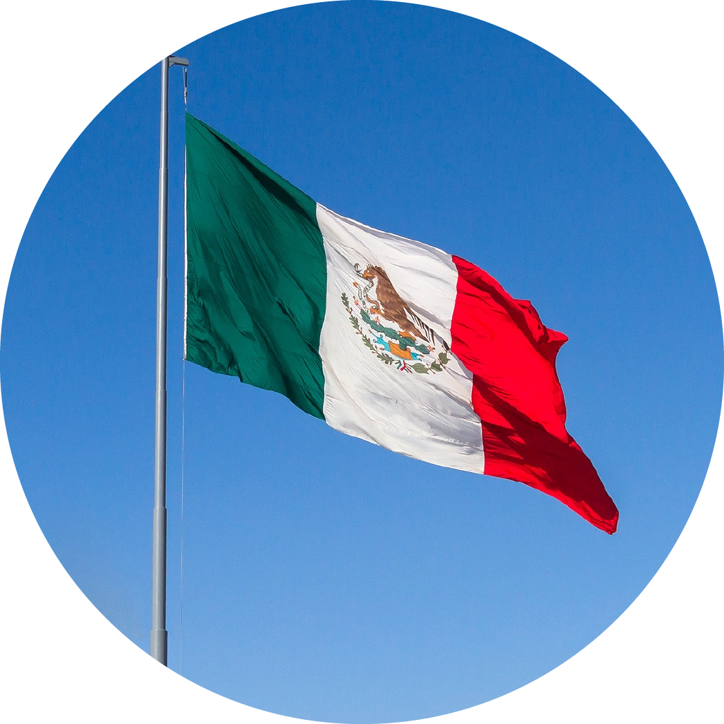 Nuestros Servicios