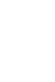Icono